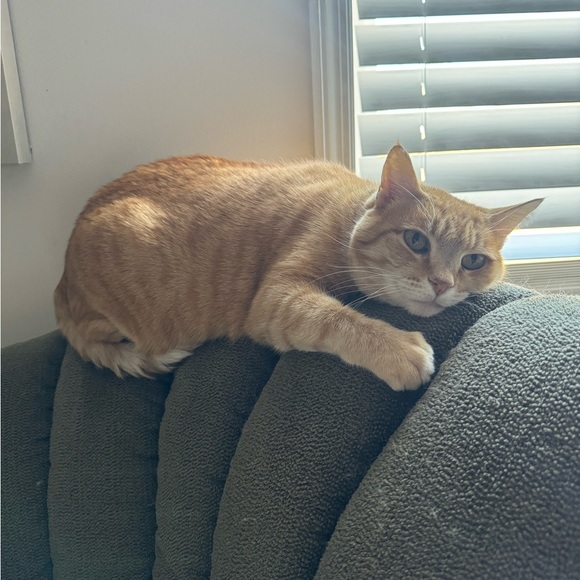 Ahoy, there! - Picture 5 of 6